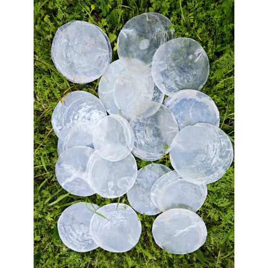 CAPIZ (KİLOLUK) 6-8 CM-100 GRAM