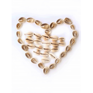 DENİZ KABUĞU 40 GR PAKET CYPREA ANNULUS - KESİK DENİZ KABUĞU 40 GR PAKET CYPREA ANNULUS - KESİK