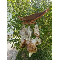 GONDOL PLACUNA SARKAÇ