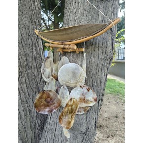 GONDOL PLACUNA SARKAÇ