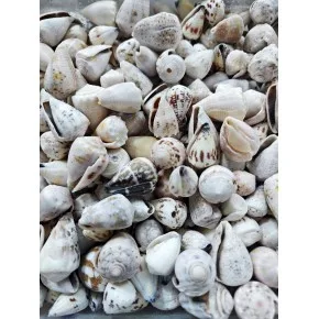 DENIZ KABUGU 500 GR PAKET LIGHTING CONE