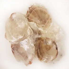 DENIZ KABUGU 500 GR PAKET PLACUNA (KG)