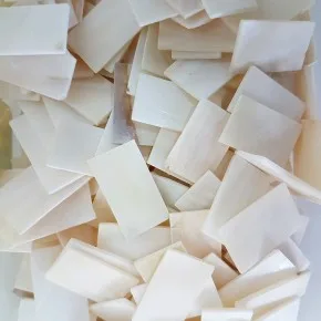 GERÇEK DENIZ KABUGU 100 GR PAKET KESIK KABIBI 3 MM (WHITE)