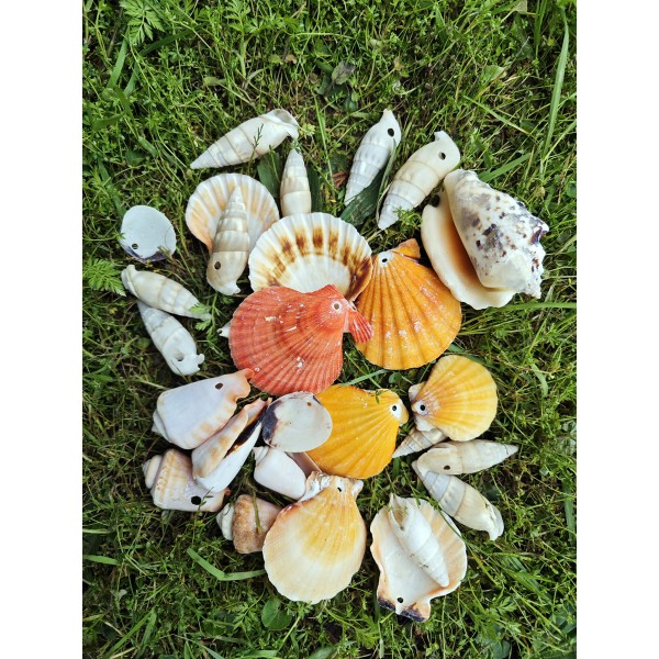 Delikli Karışık Kabuk 250 g Delikli Karışık Kabuk 250 g