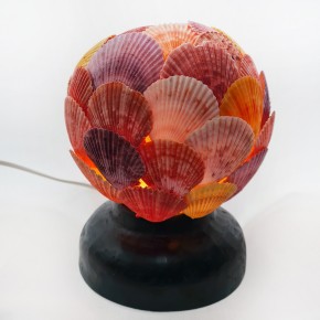 TOP LAMBA-PECTEN NOVALİS