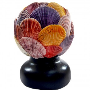 TOP LAMBA-PECTEN NOVALİS