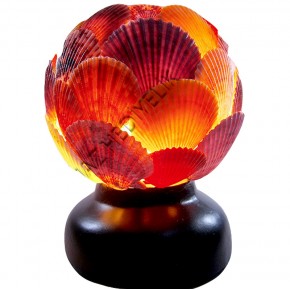 TOP LAMBA-PECTEN NOVALİS