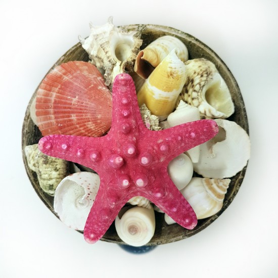 COCO SEPET KABUK 6"                                         