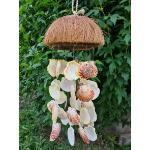 COCO TÜYLÜ MASCARENSIS KABUKLU SARKAÇ