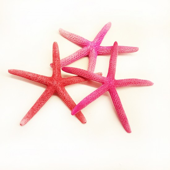 DENİZ YILDIZI(PEMBE PARMAK) 4"5"