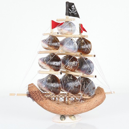 Coco Gemi-Oyster Kabuklu