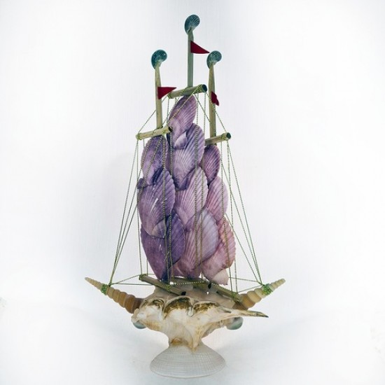 Kabuk Gemi-Mor Novalis