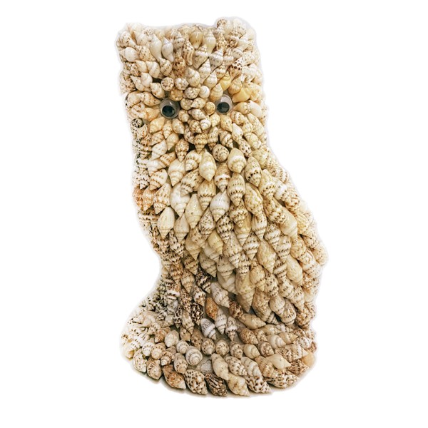 FIG022 Nassa Kabuklu Baykuş Biblo Orta Boy FIG022 Nassa Kabuklu Baykuş Biblo Orta Boy
