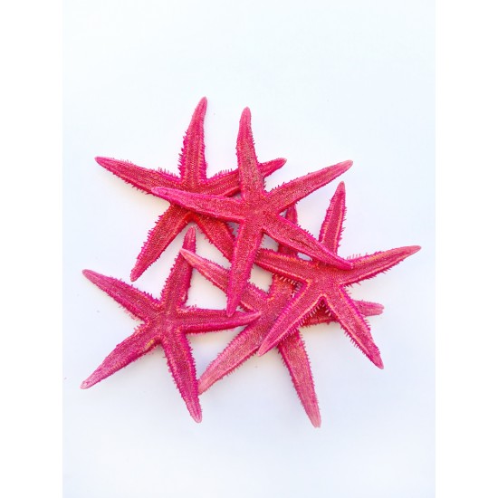 GERÇEK DENİZ YILDIZI 10-11 CM-PEMBE-5 ADET