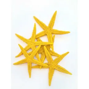 GERÇEK DENIZ YILDIZI 10-11 CM-SARI-5 ADET