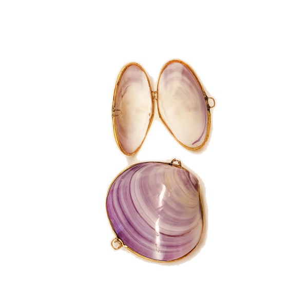 Kabuk Cüzdan (Mor Clam / Punctata) Kabuk Cüzdan (Mor Clam / Punctata)